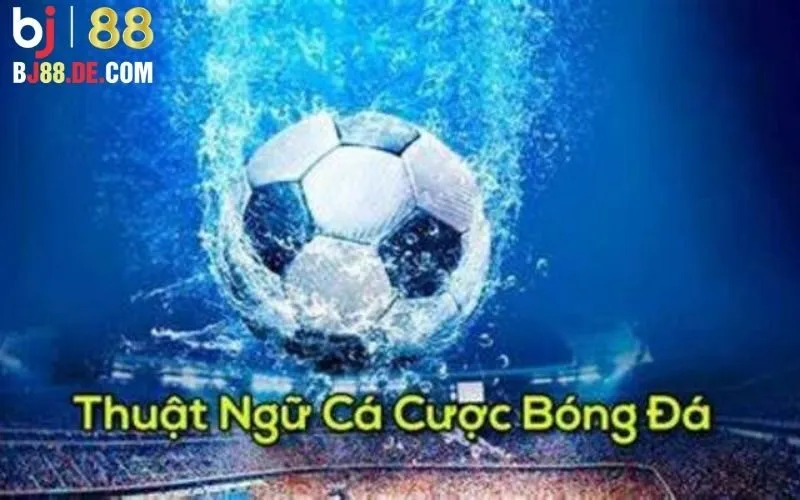 Thuật Ngữ Cá Độ Bóng Đá: Từ Cần Biết Cho Người Mới Tại Bj88 3 Thuật ngữ cá độ bóng đá