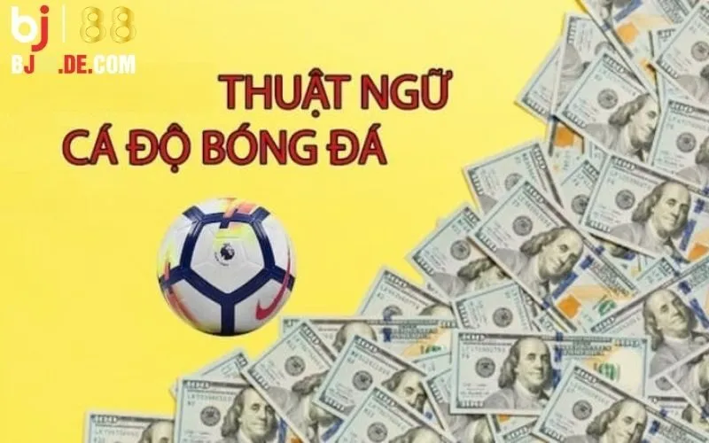 Thuật Ngữ Cá Độ Bóng Đá: Từ Cần Biết Cho Người Mới Tại Bj88 8 Thuật ngữ liên quan đến Bj88